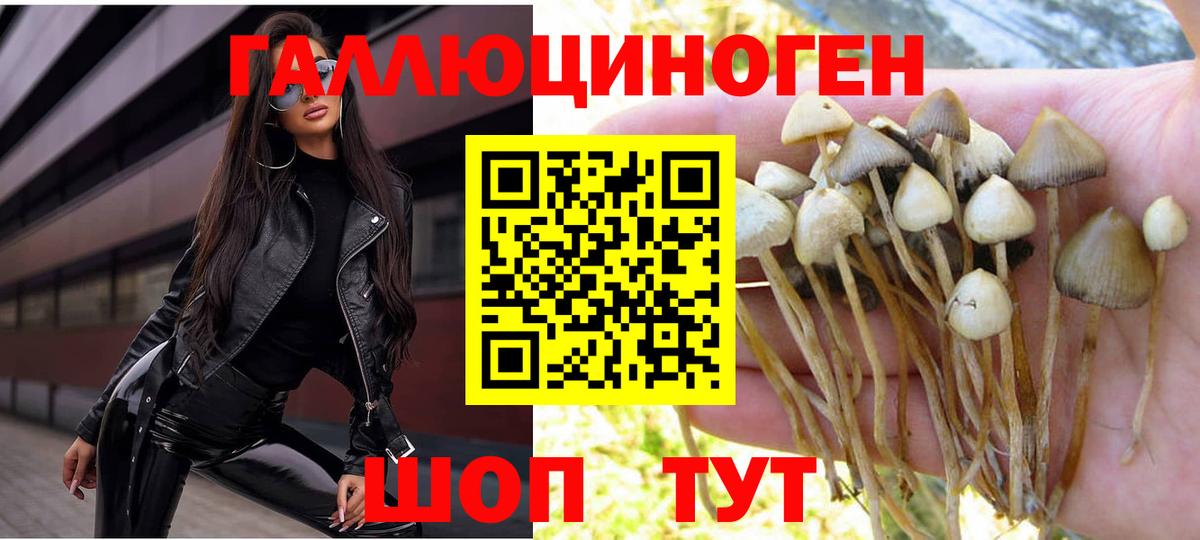 Галлюциногенные грибы мухоморы Югорск